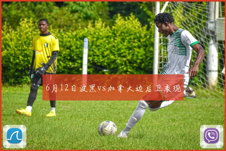 6月12日波黑vs加拿大边后卫表现