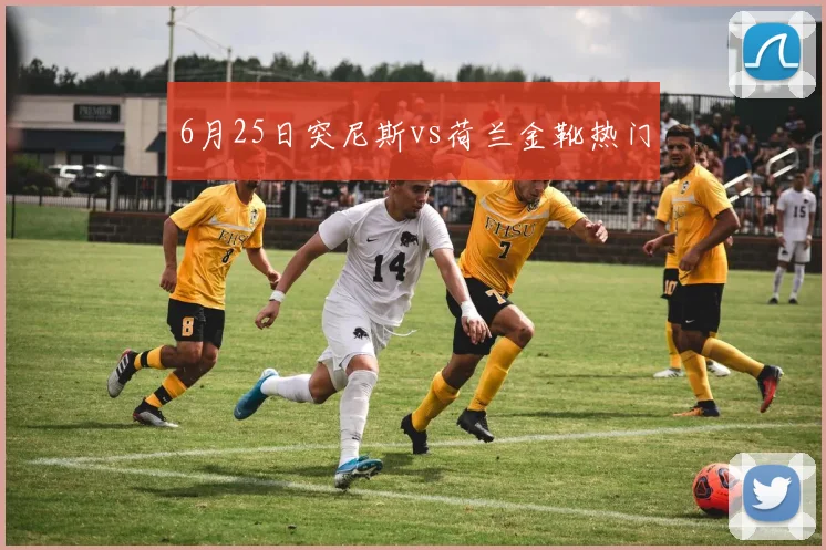 6月25日突尼斯vs荷兰金靴热门
