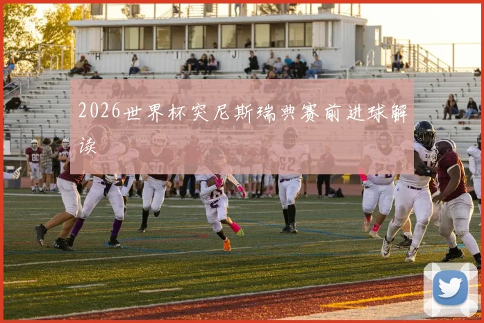 2026世界杯突尼斯瑞典赛前进球解读