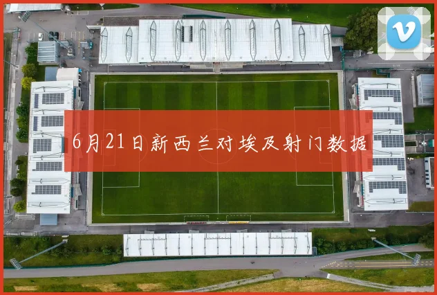 6月21日新西兰对埃及射门数据