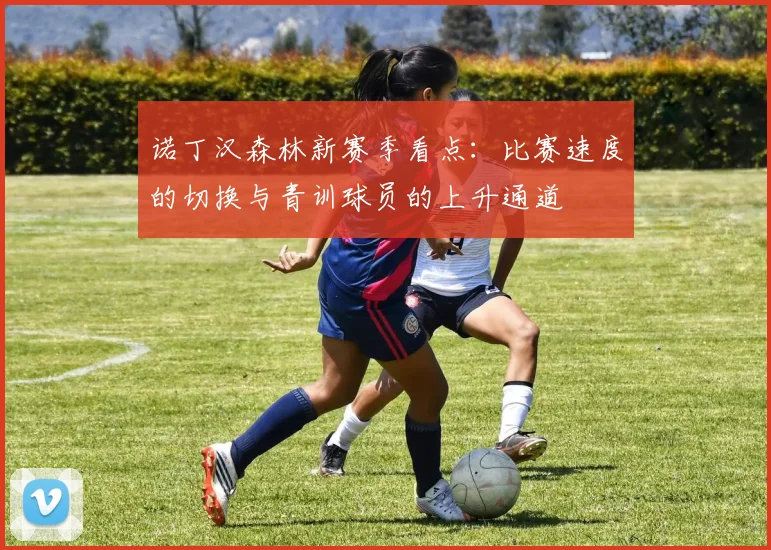 诺丁汉森林新赛季看点:比赛速度的切换与青训球员的上升通道